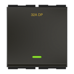 ZICONO-32A  2M  DP SWITCH  WITH INDICATOR