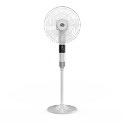Maestro